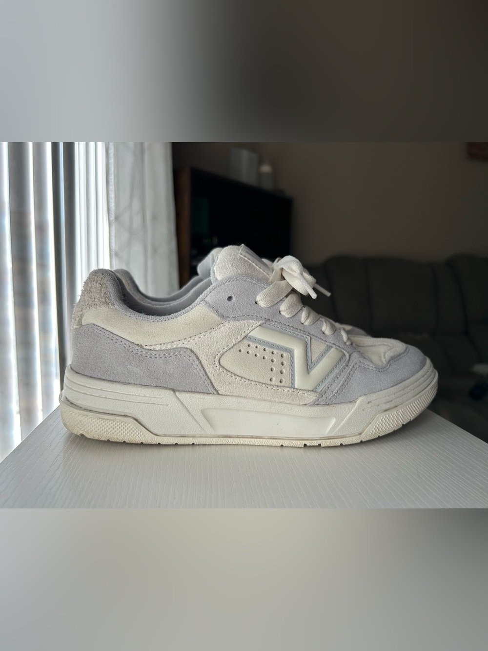 Vans Neutral Gray and Cream Suede Low-Top Sneakers